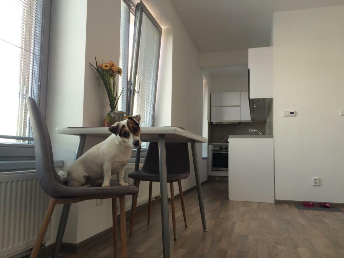 Ferienwohnung Elf Kolín Exterior foto
